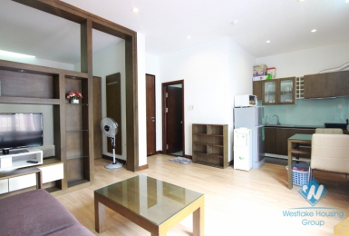 Lovely apartment for rent on Lieu Giai street